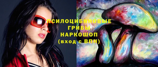 apvp Переславль-Залесский