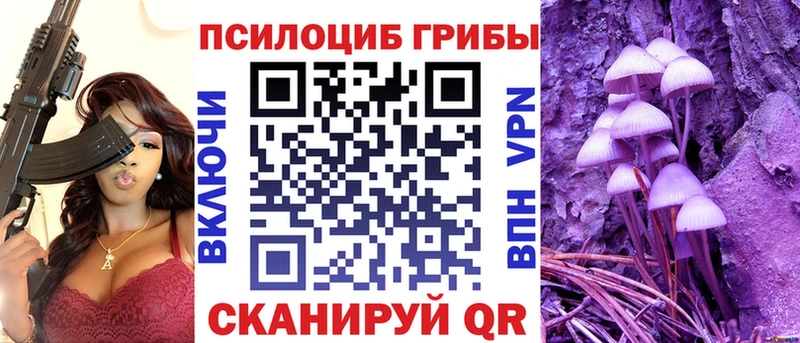 закладки  Себеж  Псилоцибиновые грибы MAGIC MUSHROOMS 